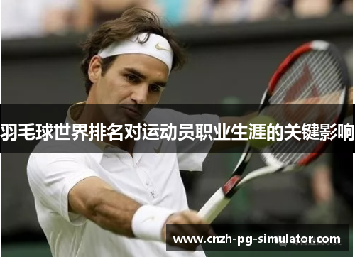 羽毛球世界排名对运动员职业生涯的关键影响 羽毛球世界排名对运动员职业生涯的关键影响