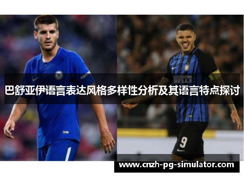 巴舒亚伊语言表达风格多样性分析及其语言特点探讨