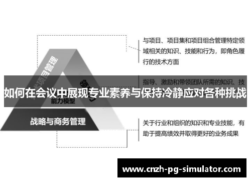 如何在会议中展现专业素养与保持冷静应对各种挑战